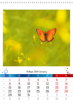 Вертикальные настенные перекидные календари - Бабочки Январь