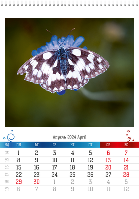 Вертикальные настенные перекидные календари - Бабочки Апрель