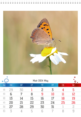 Вертикальные настенные перекидные календари - Бабочки Май