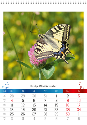 Вертикальные настенные перекидные календари - Бабочки Ноябрь